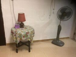 Blk 229 Bukit Batok East Avenue 3 (Bukit Batok), HDB 3 Rooms #620750551